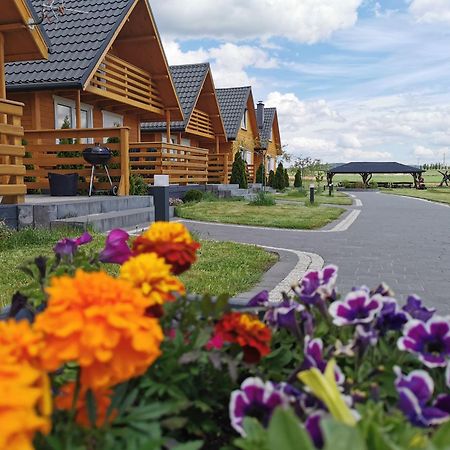 Vila Bialy Labedz Wilkow  Exteriér fotografie