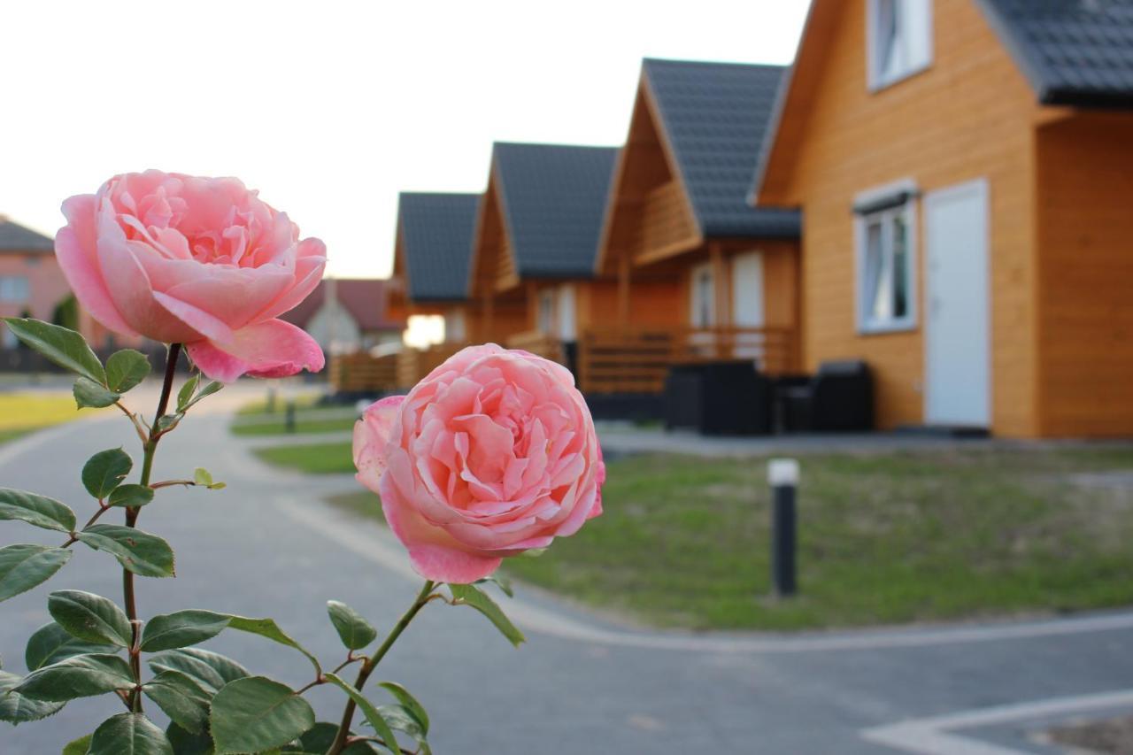 Vila Bialy Labedz Wilkow  Exteriér fotografie