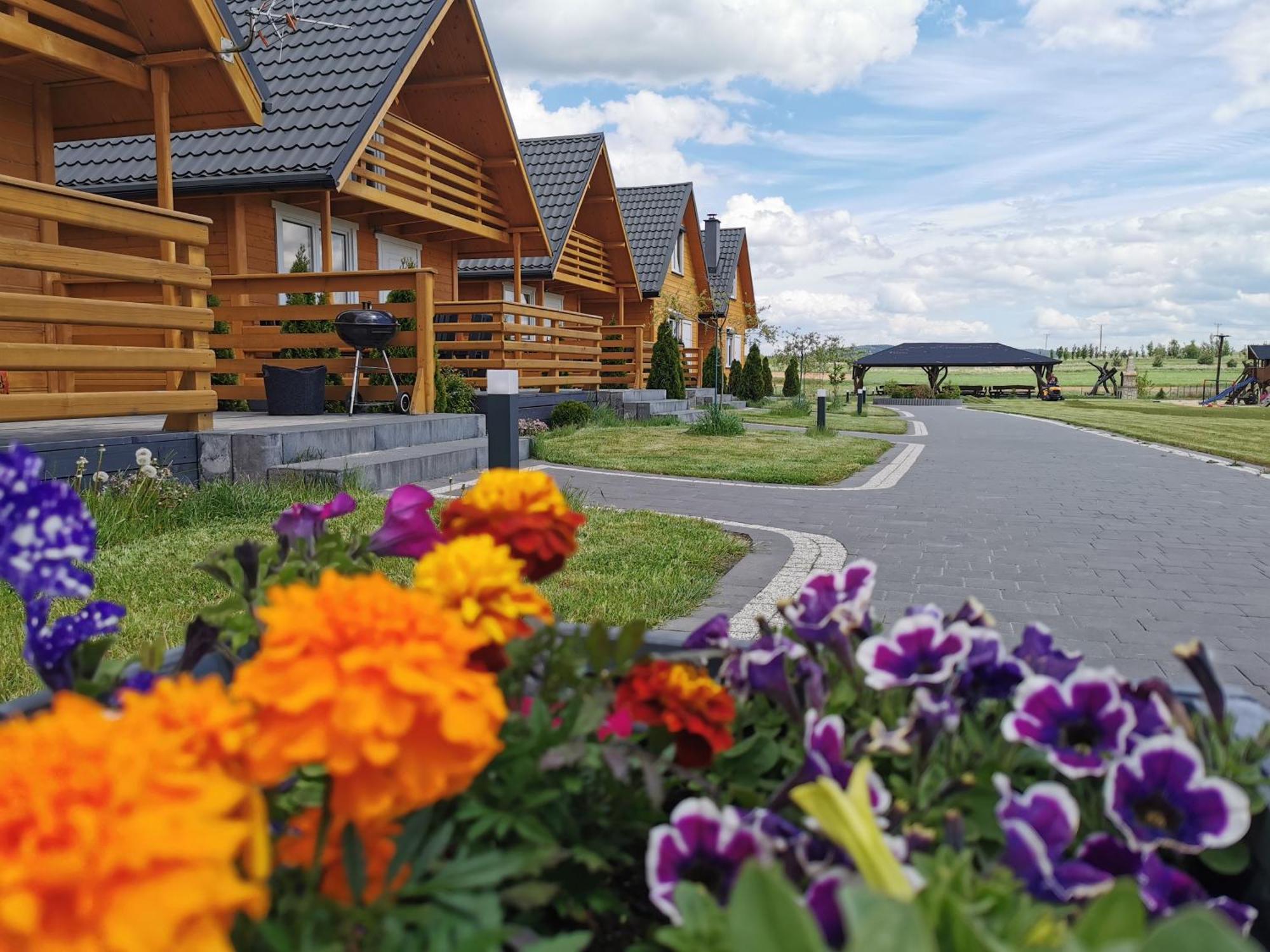 Vila Bialy Labedz Wilkow  Exteriér fotografie