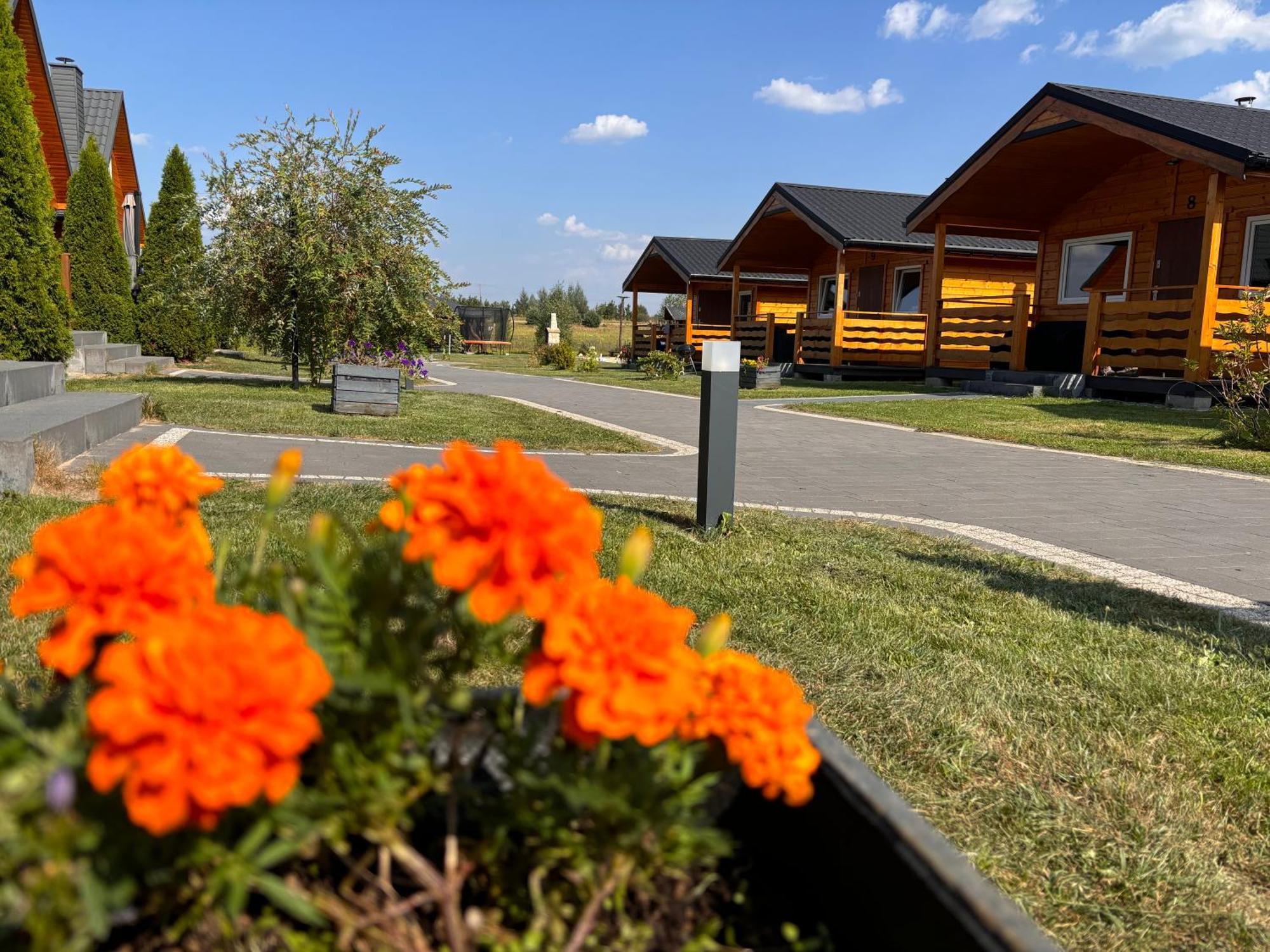 Vila Bialy Labedz Wilkow  Exteriér fotografie
